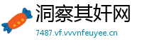 洞察其奸网